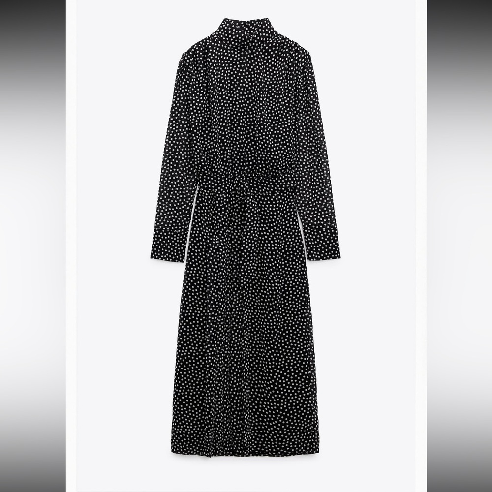 Long sleeve Zara polka dot dress